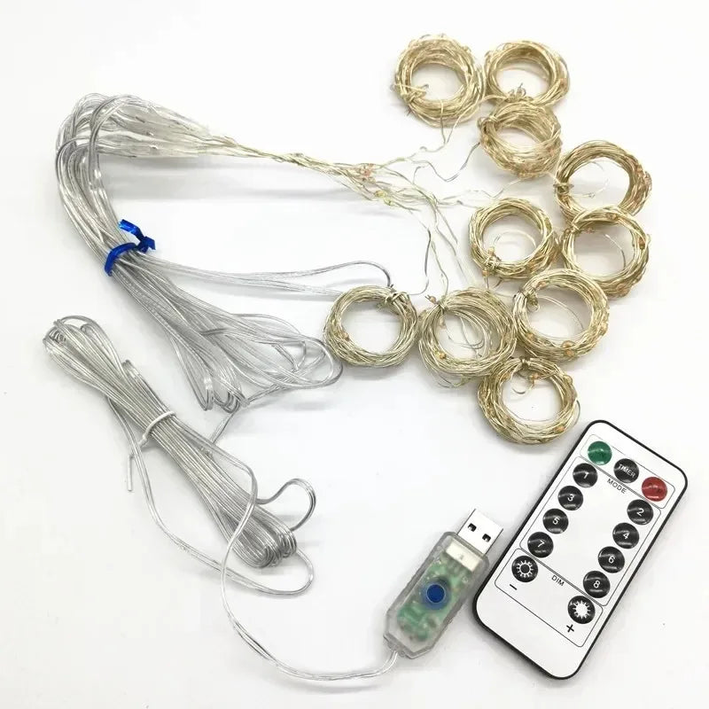 Rideau Lumineux LED 3 m avec Télécommande